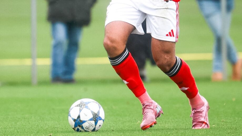 Benfica na Youth League