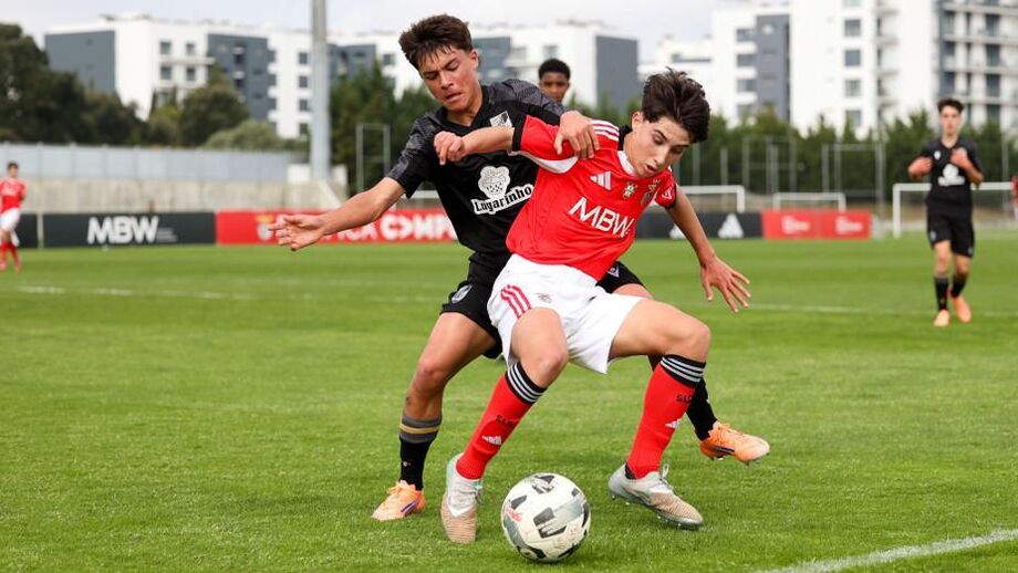 Minhotos muito intensos no Seixal