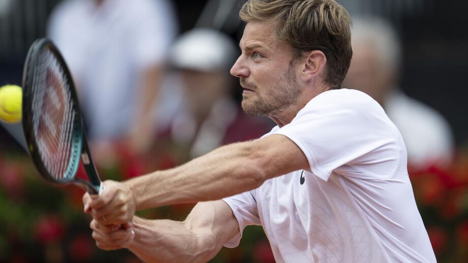 David Goffin