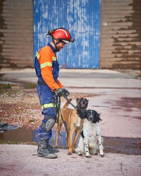 Parabéns, Billy e Betsy! Estes dois patudos são os novos cães de salvamento dos Bombeiros Sapadores de Lisboa