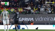 Jogo interrompido por invasão inesperada de um cão no E-Amadora-Sporting