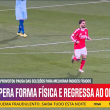 <![CDATA[ Mourinho continua a acreditar em Rafa: como o treinador do Benfica tem reforçado a confiança do avançado  ]]>