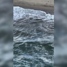 <![CDATA[ Pescador de 20 anos resgata tubarão branco na Califórnia  ]]>