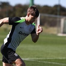 <![CDATA[ Foco do Sporting volta à Liga: titulares frente ao Arsenal fizeram recuperação em Alcochete ]]>