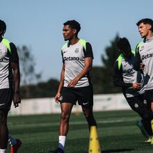 <![CDATA[ Leão num cuidado extremo: gestão com pinças em fase crucial da temporada ]]>