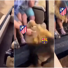 <![CDATA[ O meme do At. Madrid a gozar com o Barcelona que já vai a caminho do 1 milhão de gostos ]]>