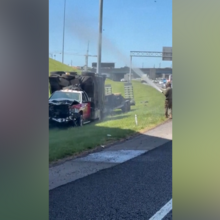 <![CDATA[ Cerca de um milhão de abelhas invadiram saída de autoestrada após acidente com camião nos EUA  ]]>