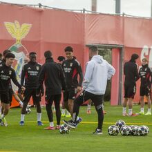<![CDATA[ Treino duro e descanso: como foi o dia do plantel do Benfica antes do dérbi com o Sporting ]]>