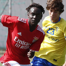 <![CDATA[ Antiga pérola da formação do Benfica esfaqueado na Dinamarca ]]>