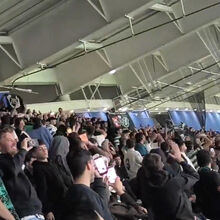 <![CDATA[ «De manhã café, pela tarde rum...»: adeptos do Sporting aplaudiram a equipa após o clássico no Dragão ]]>