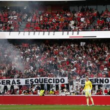 <![CDATA[ Jogo com o Moreirense vale multa de 13.390 euros ao Benfica ]]>