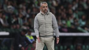 Rui Borges durante o Sporting-Santa Clara