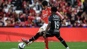 Tomás Araújo fica livre para o dérbi após jogo com o Casa Pia