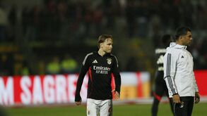 Liga Betclic: Jogador do Benfica em campo contra o Casa Pia