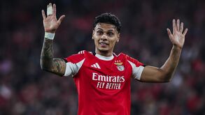 Richard Ríos chegou ao Benfica no último verão