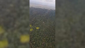 Imagens mostram destroços de avião após queda no meio da selva no Brasil
