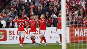 Schjelderup e Rafa celebram vitória do Benfica contra o Nacional por 2-0