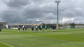 Luis Suárez com ligadura nos dedos: avançado protegido no último treino do Sporting antes da  viagem para Londres
