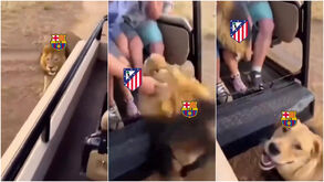 O meme do At. Madrid a gozar com o Barcelona que já vai a caminho do 1 milhão de gostos