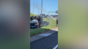 Cerca de um milhão de abelhas invadiram saída de autoestrada após acidente com camião nos EUA 