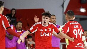 Benfica vence Leões de Porto Salvo e garante primeiro lugar na fase regular da Liga Placard