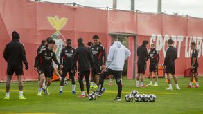 Sessão de treino do Benfica no Seixal antes do dérbi com o Sporting