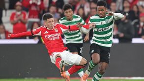 Sporting e Benfica disputam um jogo crucial; só a vitória interessa