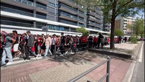 Cânticos e... muita polícia: 1.500 adeptos do Benfica deixam Luz rumo a Alvalade