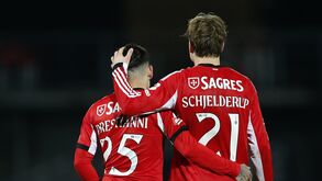 Schjelderup e Prestianni destacam-se no Benfica após regressarem das seleções