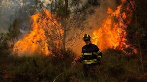 Incêndio em zona de mato mobiliza mais de 100 operacionais em Tondela