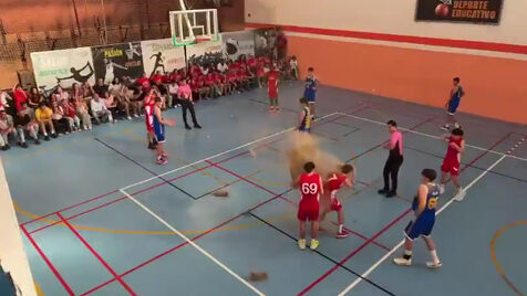 Não ganhou para o susto: painel de teto de pavilhão em Sevilha caiu em cima de jogador 