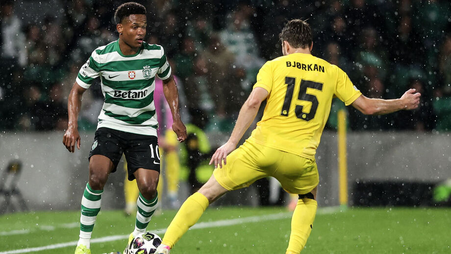 Catamo frente ao Bodo