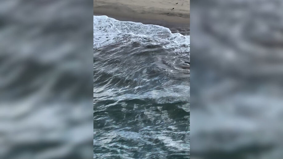  Aconteceu em Hermosa Beach