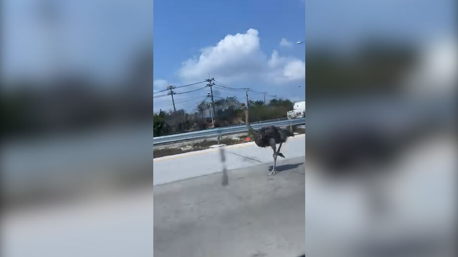 Aconteceu na Tailândia