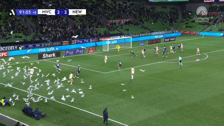 Momento caricato ocorreu na jogo entre o Melbourne Victory e o Newcastle Jets