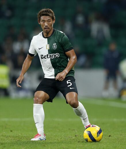 Morita de leão ao peito