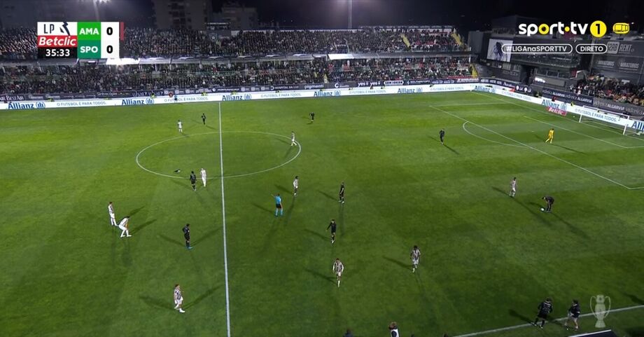 Jogo interrompido por invasão de um gato no E-Amadora-Sporting