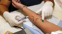 Estão em curso análises para detetar a possível presença de norovírus