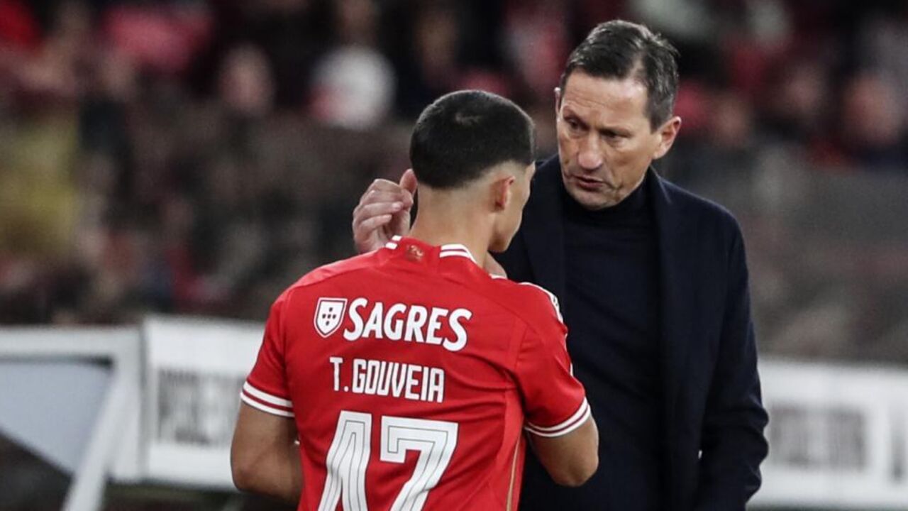 Tiago Gouveia e Roger Schmidt nos tempos de Benfica
