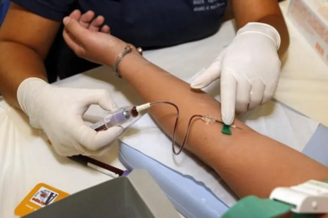 Estão em curso análises para detetar a possível presença de norovírus
