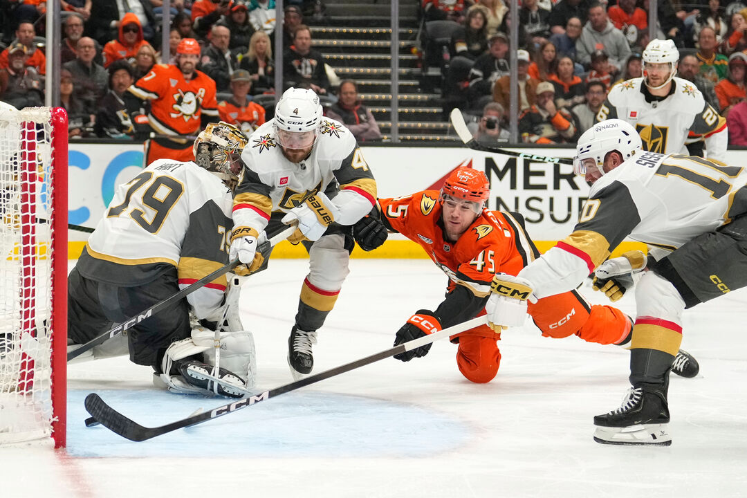 Mulheres impulsionam crescimento da NHL nos Playoffs da Taça Stanley