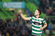 Ricky van Wolfswinkel alinhou pelo Sporting entre 2011 e 2013