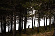 Atletas de trail running em Seia, num evento internacional de desporto