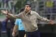 Abel Ferreira