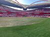 Relvado do Estádio da Luz depois dos concertos de Bad Bunny
