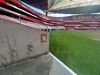 Relvado do Estádio da Luz depois dos concertos de Bad Bunny