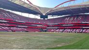 Relvado do Estádio da Luz depois dos concertos de Bad Bunny