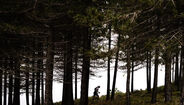 Atletas de trail running em Seia, num evento internacional de desporto