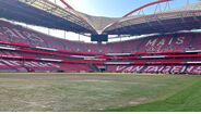 Relvado do Estádio da Luz depois dos concertos de Bad Bunny