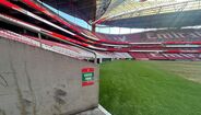 Relvado do Estádio da Luz depois dos concertos de Bad Bunny
